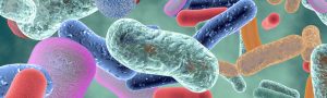 What are microbes?