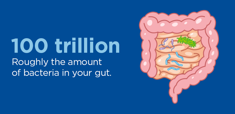 100 trillion: Roughly the amount of bacteria in your gut.