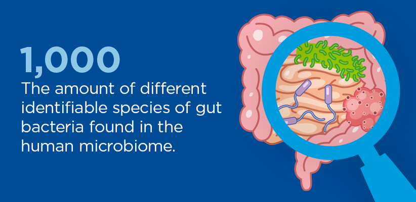 1,000: The amount of different identifiable species of gut bacteria found in the human microbiome.